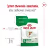 ROYAL CANIN Mini Ageing Adult +12 sausā barība suņiem - 3,5 kg