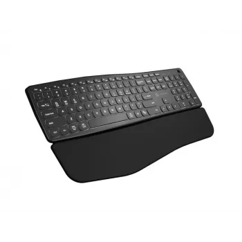 NATEC PORIFERA bezvadu tastatūra Home/Office Bluetooth QWERTY US International Melna