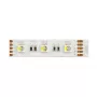 Synergy 21 LED Flex Strip 5050 - 60 RGB DC24V + RGB-W viena mikroshēma ww IP68