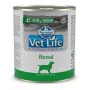 FARMINA Vet Life Canine Renal - slapjā suņu barība - 300 g