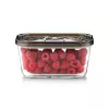 Caso stikla vakuuma trauks ar plastmasas vāku | VacuBoxx Eco M | Caurspīdīgs