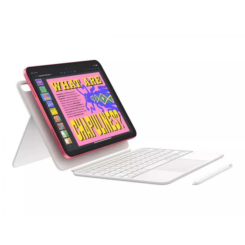 Apple iPad 256 GB 27,9 cm (11 inch) Wi-Fi 6 (802.11ax) iPadOS 18 Rozā