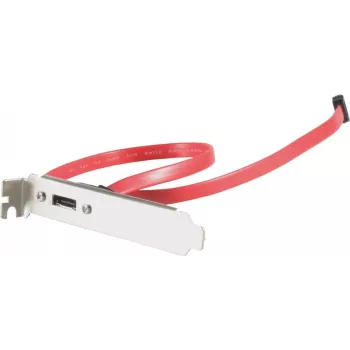 ShiverPeaks 75625 S-ATA uz e-SATA slot kronšteins 1 ports ar kabeli