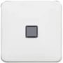 Legrand 776211 sienas panelis / slēdža vāciņš Balts