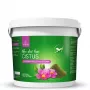 POKUSA RawDietLine Cistus - uztura bagātinātājs suņiem un kaķiem - 100g