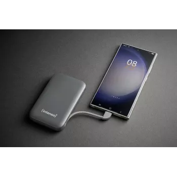 Power Bank Intenso S10000 10000mAh Pelēks
