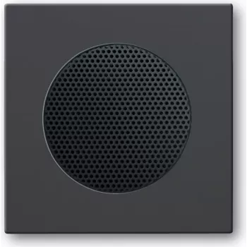 BUSCH JAEGER 2CKA008200A0078 - Melns - kvadrāts - 8223 U - 63 mm - 63 mm