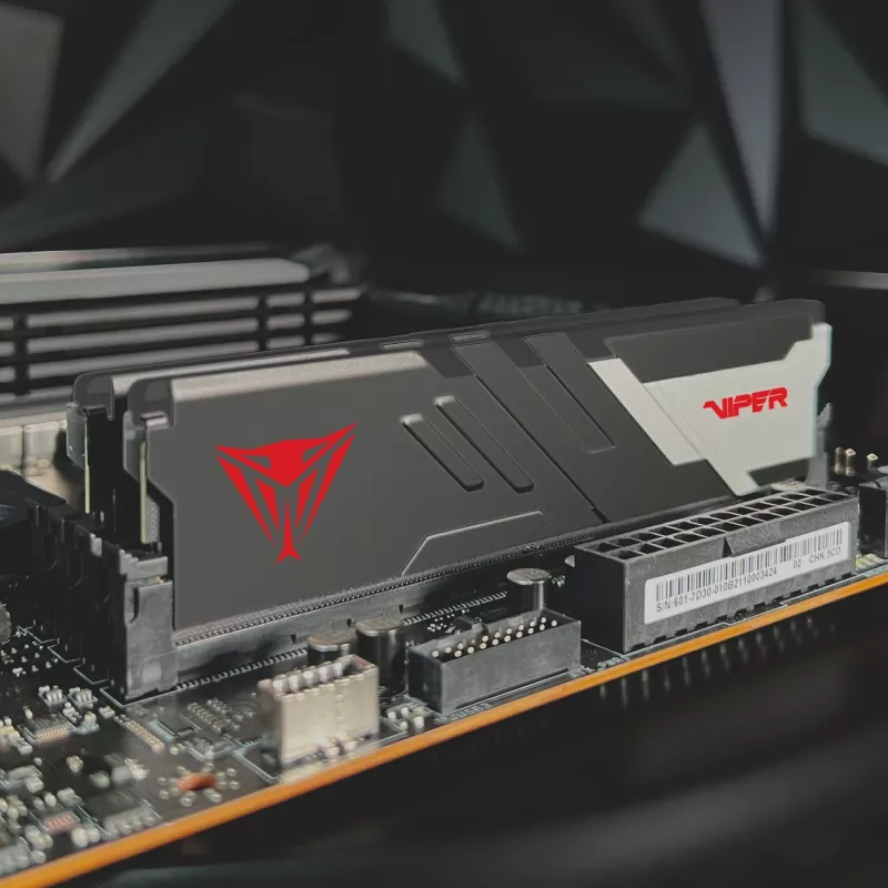 DIMM 32 GB DDR5-6000 (2x 16 GB) Dual-Kit, Arbeitsspeicher PVV532G600C36K, Viper Venom, INTEL XMP