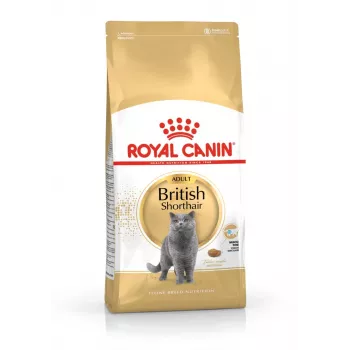 Royal Canin British Shorthair sausā barība kaķiem 2 kg