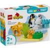 Lego 10442 Savvaļas dzīvnieku ģimenes: Pingvīni un Lauvas