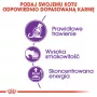Sausā kaķu barība Royal Canin Sensible 33 Adult 2 kg – vistas garša, 33% proteīns, 22% tauki, gremošanas atbalsts