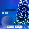 Twinkly Candies LED Ziemassvētku eglītes gaismas virtene TWKC100RGB-T 6 M Sveces forma