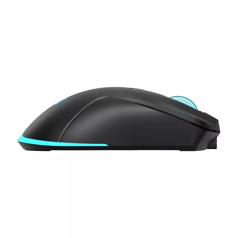 Pele Baracuda BGM-121 Turtle Black USB