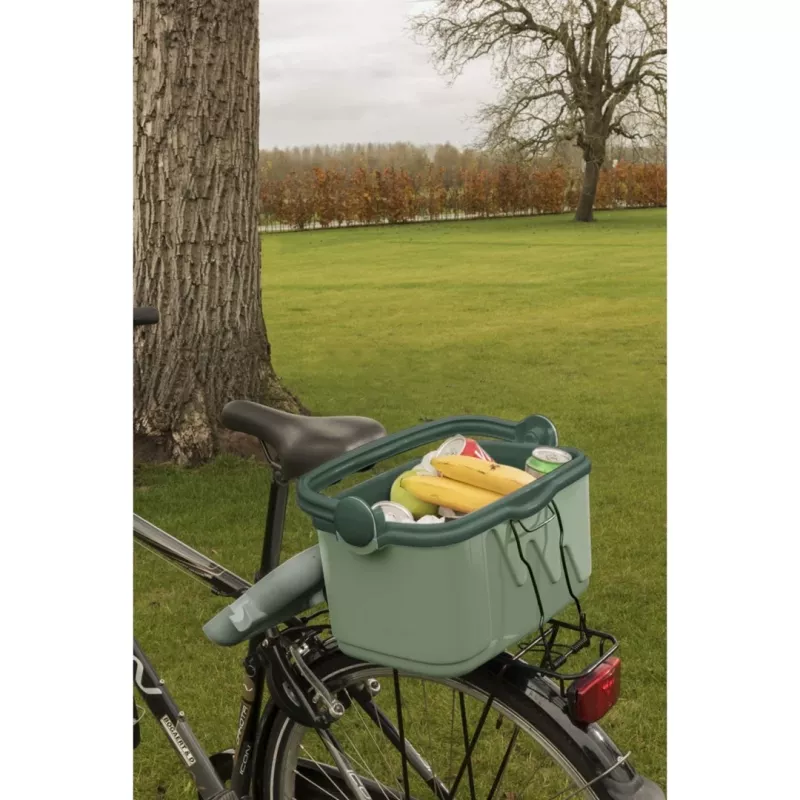 Pārnēsājams ledusskapis Curver 261196, 10 L, zaļš, polipropilēns, bez BPA, 1.13 kg, rokturis