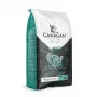 Canagan sausā barība kaķiem Dental 1,5kg