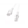 PATCHCORD Cat.6 UTP 1,5 m Balts FLUKE PASSED LANBERG 10-PACK