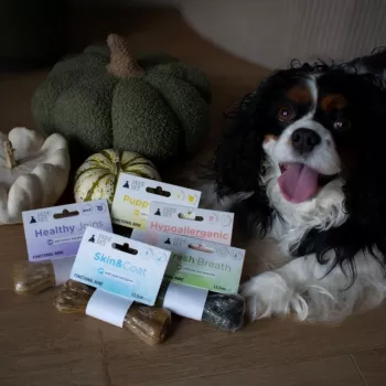 Suņa košļājamais kārums PAKA ZWIERZAKA Pepe Vet funkcionāls kauls veselām locītavām 70 g, liellopu gaļa, bezgraudu