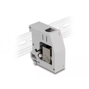 DeLOCK DIN sliedes adapteris RJ45 ligzda - RJ45 ligzda Cat.6A Pelēks