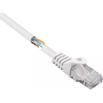 Renkforce RF-5043828 Ethernet Patch Kabelis Balts