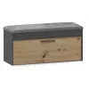 Slēgts apavu skapis Top e Shop PARMA — antracīts un ozols, skaidu plātne, 1000×490×350 mm