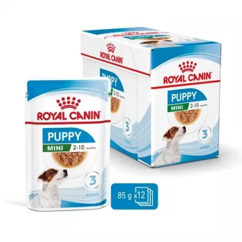 ROYAL CANIN SHN Mini Puppy mērcē - slapjš kucēnu barība - 12X85g