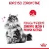 ROYAL CANIN Hair&Skin Care Adult - sausā barība kaķiem - 400g