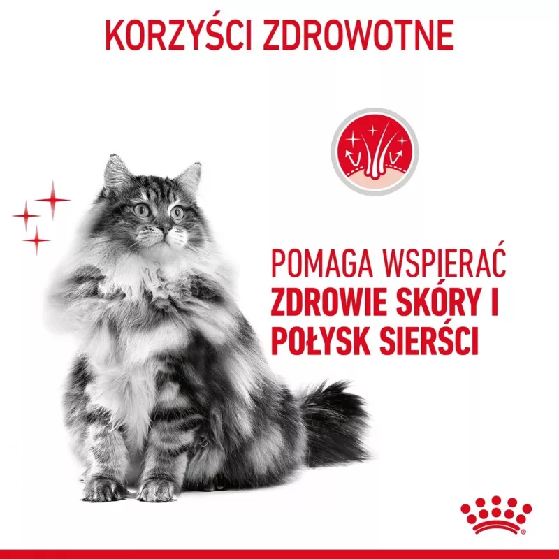 ROYAL CANIN Hair&Skin Care Adult - sausā barība kaķiem - 400g