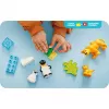 Lego 10442 Savvaļas dzīvnieku ģimenes: Pingvīni un Lauvas