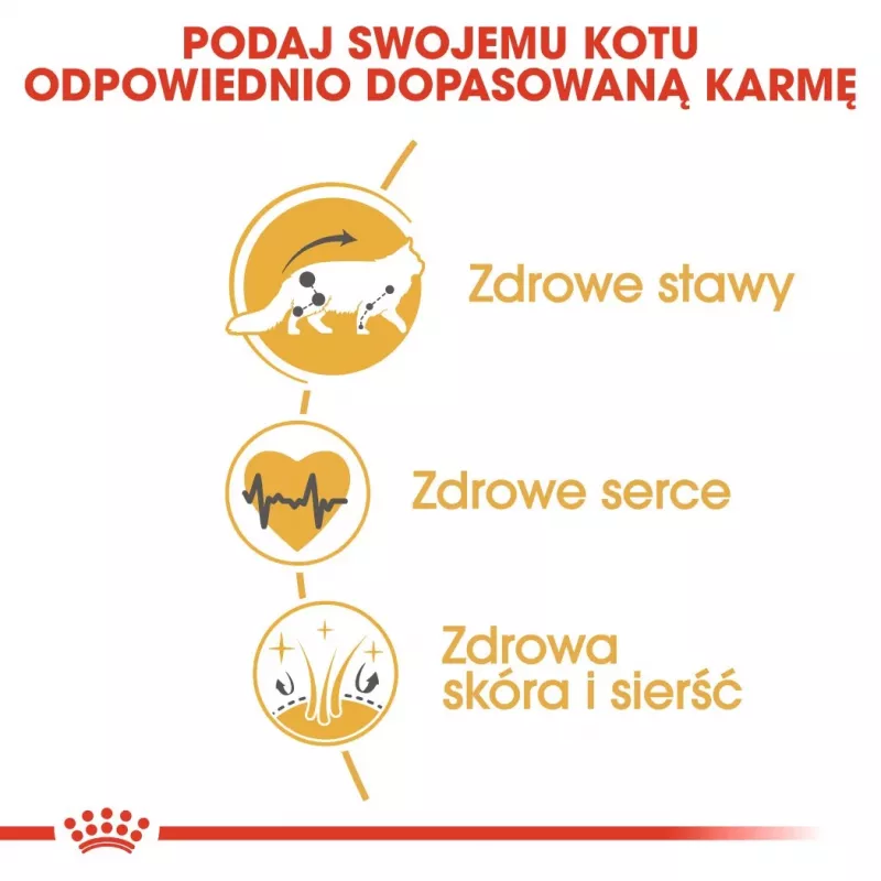 Royal Canin FBN Maine Coon Adult sausais kaķu ēdiens, 10 kg