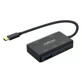 ROLINE USB 3.2 Gen 2 Hub, 4-portu (2x USB-A + 2x USB-C), PD, C tipa savienojuma kabelis (14.02.5060)