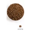 ACANA Dog Puppy sausā suņu barība - 11,4 kg