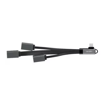 USB centrmezgls LogiLink UA0361
