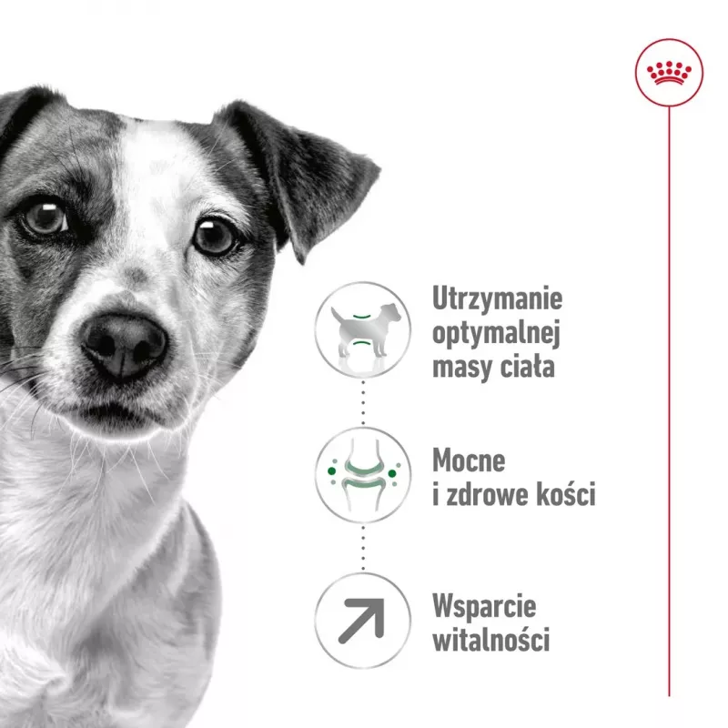 Sausā barība suņiem Royal Canin Mini Adult 8+ Senior ar putnu gaļu, rīsiem un dārzeņiem, 8 kg, mazām šķirnēm (5–10 kg)