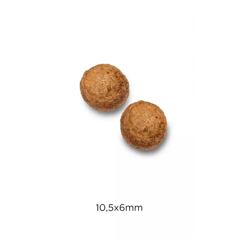 Sausā kaķu barība Optimanova Cat Hairball Chicken & Rice 2 kg – diēta matu kamolu kontrolei