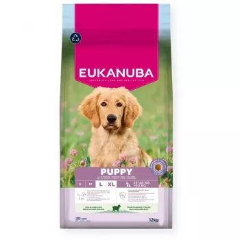 EUKANUBA Puppy L XL Rich in lamb & rice - sausā barība suņiem - 12kg