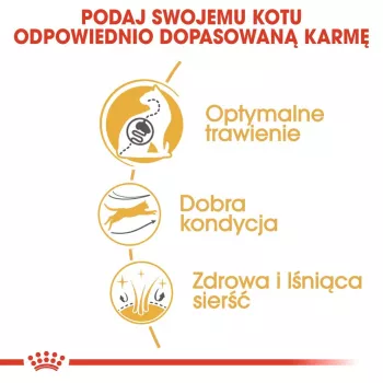 Sausā kaķu barība Royal Canin Bengal Adult 2 kg — mājputni, 40% olbaltumvielas, 18% tauki, gremošanas un ādas kopšana