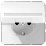 Montāžas kārba JUNG CD 1520 BFNAKL WW Schuko tips F 16A 250V balta