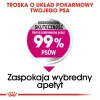 Sausā suņu barība Royal Canin Mini Exigent 1 kg — mazo šķirņu pieaugušiem suņiem