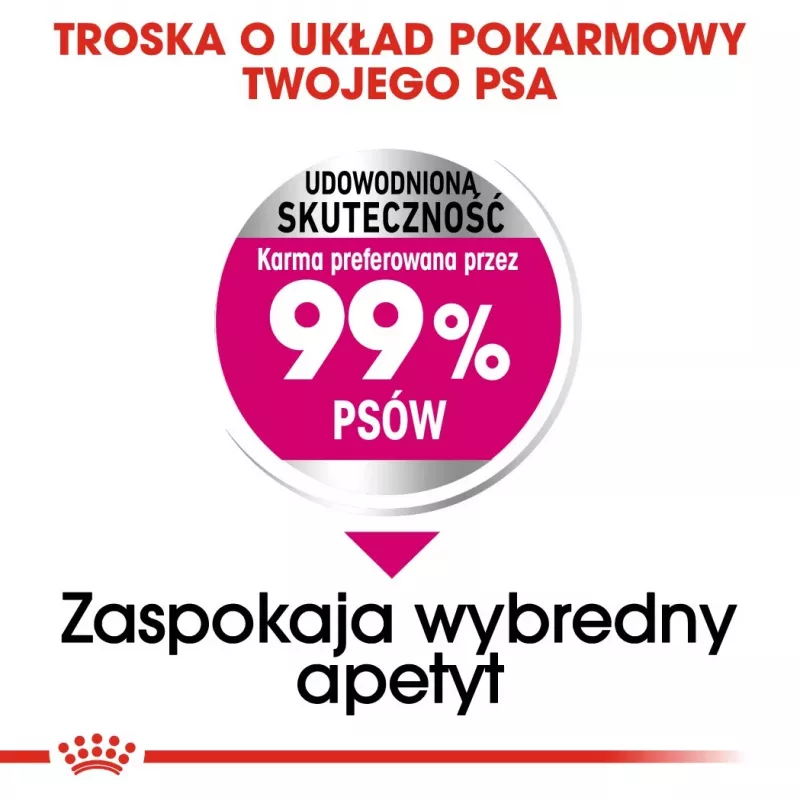 Sausā suņu barība Royal Canin Mini Exigent 1 kg — mazo šķirņu pieaugušiem suņiem
