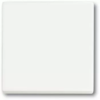 Gaismas slēdzis Busch-Jaeger 1751-0-3027, plastmasas korpuss, balts, spiedpogas vadība, 63×63 mm