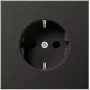 SCHUKO kontaktligzda AL1520NAN (AL1520NAN)