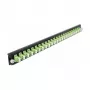 DeLOCK 19 inch Splice Box Front Panel 24 port LC Duplex laima zaļš 43362