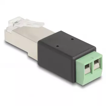 DeLOCK RJ45 spraudnis uz spaiļu bloku adapteris 2 kontakti 66604 Melns Zaļš