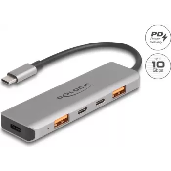 DeLOCK 64302 USB 3.2 Gen 2 Type-C dokstacija, pelēka, 95W