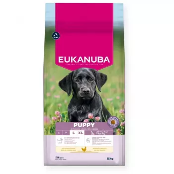 Sausā suņu barība EUKANUBA Puppy Large Chicken 15 kg — kucēniem lielām un milzu šķirnēm, 26,5% olbaltumvielu