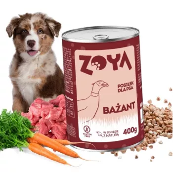 ZOYA Fāzans – mitrā suņu barība kārbā 400g