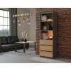Biroja grāmatplaukts top e shop RS-60 ANT/ART KPL — 3 plaukti, skaidu plātne, 600×350×1800 mm