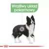 ROYAL CANIN CCN Medium Digestive Care - sausā suņu barība - 3 kg