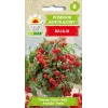 Bajaja Cherry Tomato Toraf Dārzeņu Sēklas, 0.3g Paka