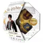 Harry Potter Wizard Quiz, Jautājumu Spēle